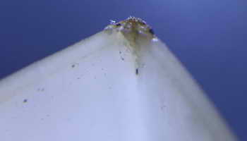 _images/White_with_melted_Nylon_E_thumb.jpg